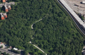 In piazza Verdi il raduno delle aree rinaturalizzate italiane Prati di Caprara