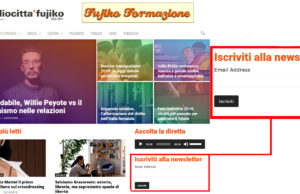 Fatti raggiungere dall’informazione indipendente con la newsletter FujikoWeekly!