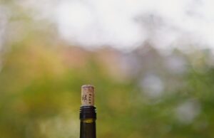 Nel 2019 verranno prodotti 263 milioni di ettolitri di vino produzione vino italia