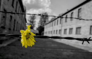 Verso la Giornata della Memoria: le iniziative istituzionali Giornata della Memoria