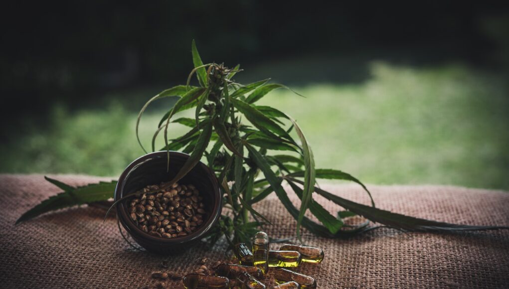 info per coltivare la cannabis