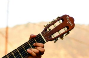 SONO Music Group, un’etichetta familiare e collaborativa sono music group