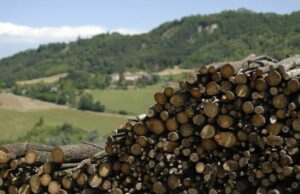 Appennino, boom di richieste per viverci con gli incentivi della Regione Appennino