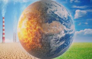 Cos’è transizione ecologica e cos’è greenwashing Transizione ecologica