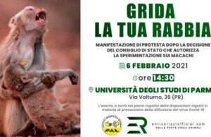 Sperimentazione animale: sabato 6 la protesta sperimentazione animale