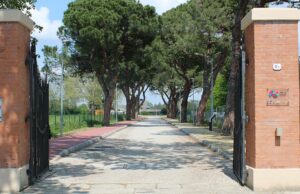 Nasce il Mercato Contadino di Salus Space salus space