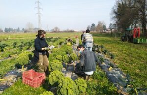 In Emilia-Romagna nasce la rete per la sovranità alimentare Sovranità alimentare