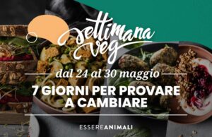 Essere Animali prepara la Settimana Veg settimana veg
