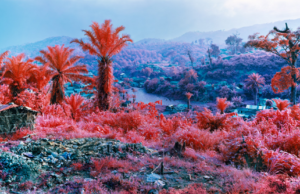 Displaced: la fotografia di Richard Mosse arriva al MAST fotografia