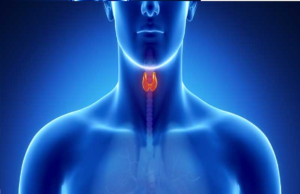 In cosa consiste la visita endocrinologica? endocrinologia online