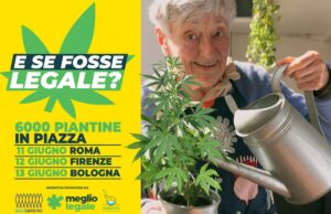 6000 piantine di Cannabis, anche le Sardine in tour per la legalizzazione Cannabis