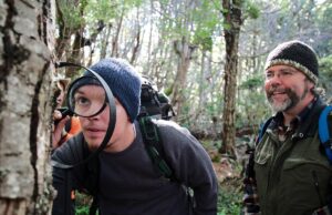 Ecoturismo: la nuova frontiera per viaggiare in maniera sostenibile ecoturismo