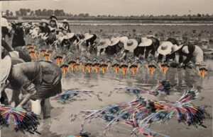 Torna Hackmeeting, gli anticorpi all’invasività delle tecnologie Hackmeeting