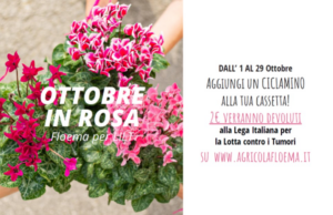 Prevenire è vivere: ottobre è il mese della Campagna di LILT per la lotta contro il tumore al seno