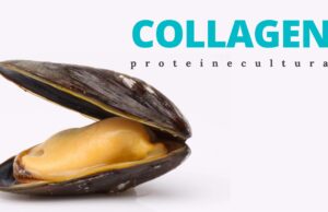 Collagene – Proteine Culturali: il luogo per sperimentare le contaminazioni tra le arti arti