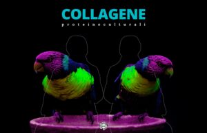 COLLAGENE gli appuntamenti culturali ripartono nonostante le restrizioni Collagene