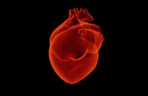 La salute ci sta a cuore: il ruolo del cardiologo