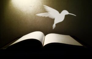 Consigli di lettura contro l’oscurantismo della cultura Consigli di lettura