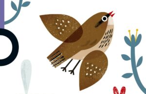 Cipì, Mario Lodi e il libro scritto coi bambini Cipì