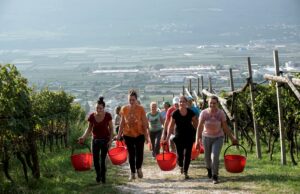 Manodopera agricola e turistica, perché i lavoratori stranieri preferiscono la Germania Lavoratori stranieri