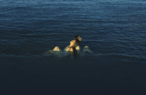 Disco della Settimana: We are an Island, il sognante debutto dei Lomii Lomii