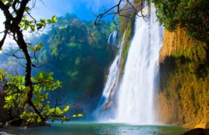 Una cascata di libri con i consigli di lettura della settimana Consigli di lettura