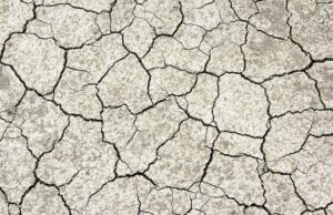 Siccità, è crisi climatica: a rischio agricoltura e energia cambiamento climatico