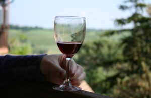 Vino Top in tour sbarca a Bologna vino bologna