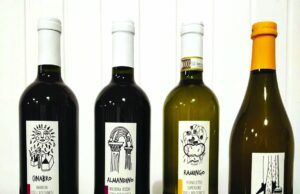 Cosa bisogna servire ai propri ospiti per una festa in casa? wine delivery