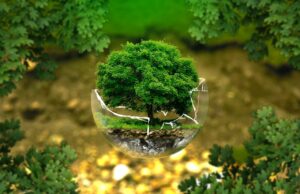 “Scuola di eco-politica” per capire e affrontare le tematiche ambientali Verdi