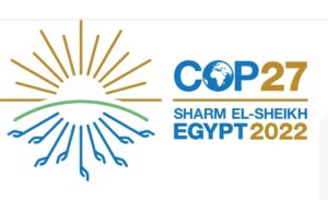Cop27, poche aspettative per la conferenza sulla crisi climatica Cop27