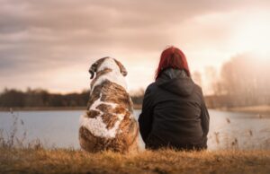Educare i cani a Bologna, consigli ed esperti in città educare cani bologna