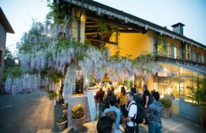 Le Serre d’Estate 2023 tra letteratura, cinema e musica serre d'estate