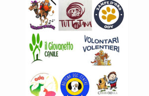 Emergenza per l’alluvione in Emilia Romagna: la raccolta di cibo per animali