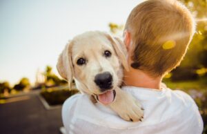 Pet Therapy a Bologna, come gli animali curano i più fragili pet therapy bologna