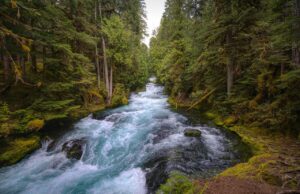 Viaggi di cultura: alla scoperta della West Coast viaggi di cultura