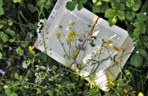 I consigli di lettura della settimana: una bussola per orientarsi nel giardino dei libri Consigli di lettura