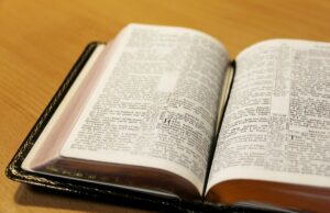 Libri per non abdicare alla lettura: i consigli della settimana Libri
