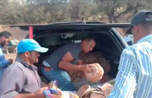 Terremoto in Marocco, la solidarietà della diaspora che porta aiuti anche con gli asini Terremoto in Marocco