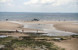 Stefano Liberti racconta il circolo vizioso tra crisi climatica e conflitti Conflitti