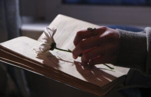 Nei libri scampoli di bellezza contro l’orrore Libri