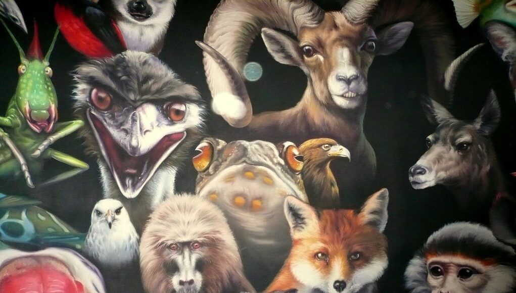 animal art