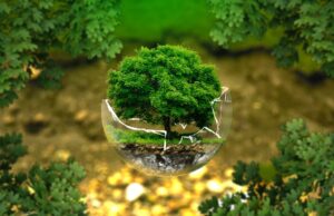 Relazioni inseparabili – Il Festival dell’ecologia integrale