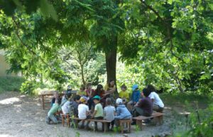 Una scuola nel bosco: il progetto di Creativity Garden a Bologna