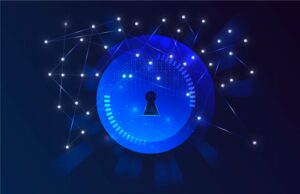 Navigare tra le monete della privacy: rivelare caratteristiche e navigare nelle controversie