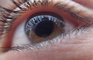 Ottico e oculista: due professioni diverse che operano insieme