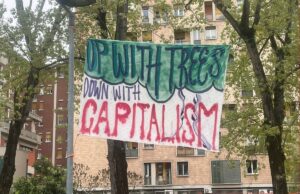 La lotta per gli alberi, i molti fronti aperti a Bologna contro gli abbattimenti Alberi