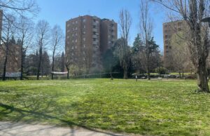 Effetto Besta, contro il taglio di alberi monta la protesta anche al giardino Acerbi Comitato Cavazzoni