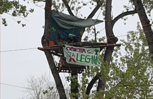 Parco Don Bosco, nuovo round del confronto tra Lepore e il Comitato Besta Parco Don Bosco