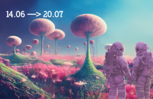 Concerti, relax e sostenibilità ambientale in un’unica esperienza: BOtanique festival 2024